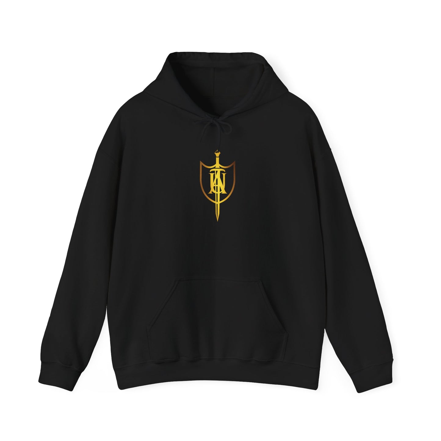 Aventine University Hoodie -- Logo Center