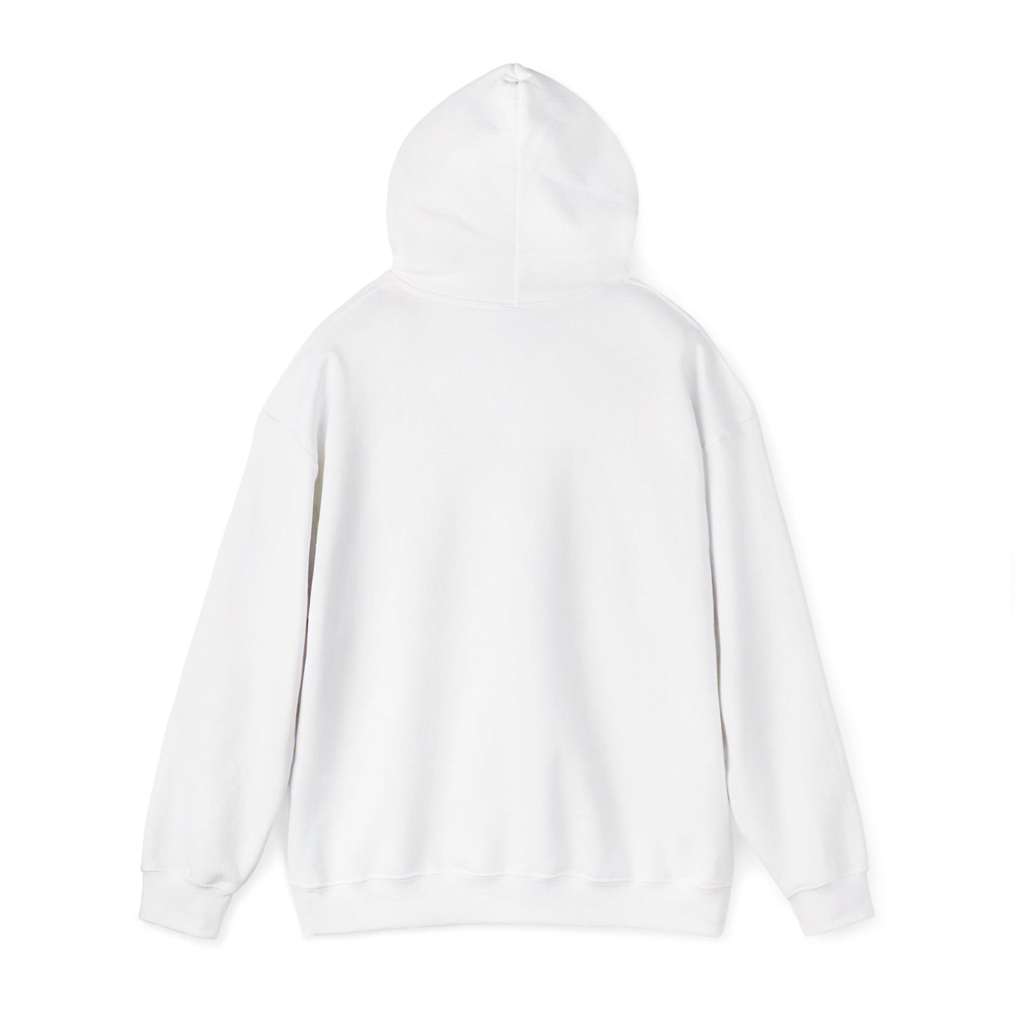 Aventine University Hoodie -- Logo Center
