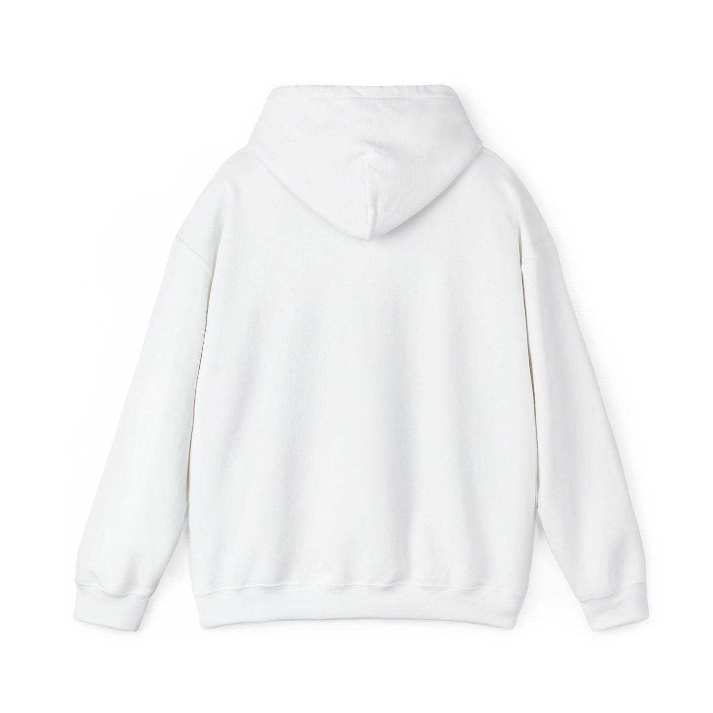Aventine University Hoodie -- Logo Center