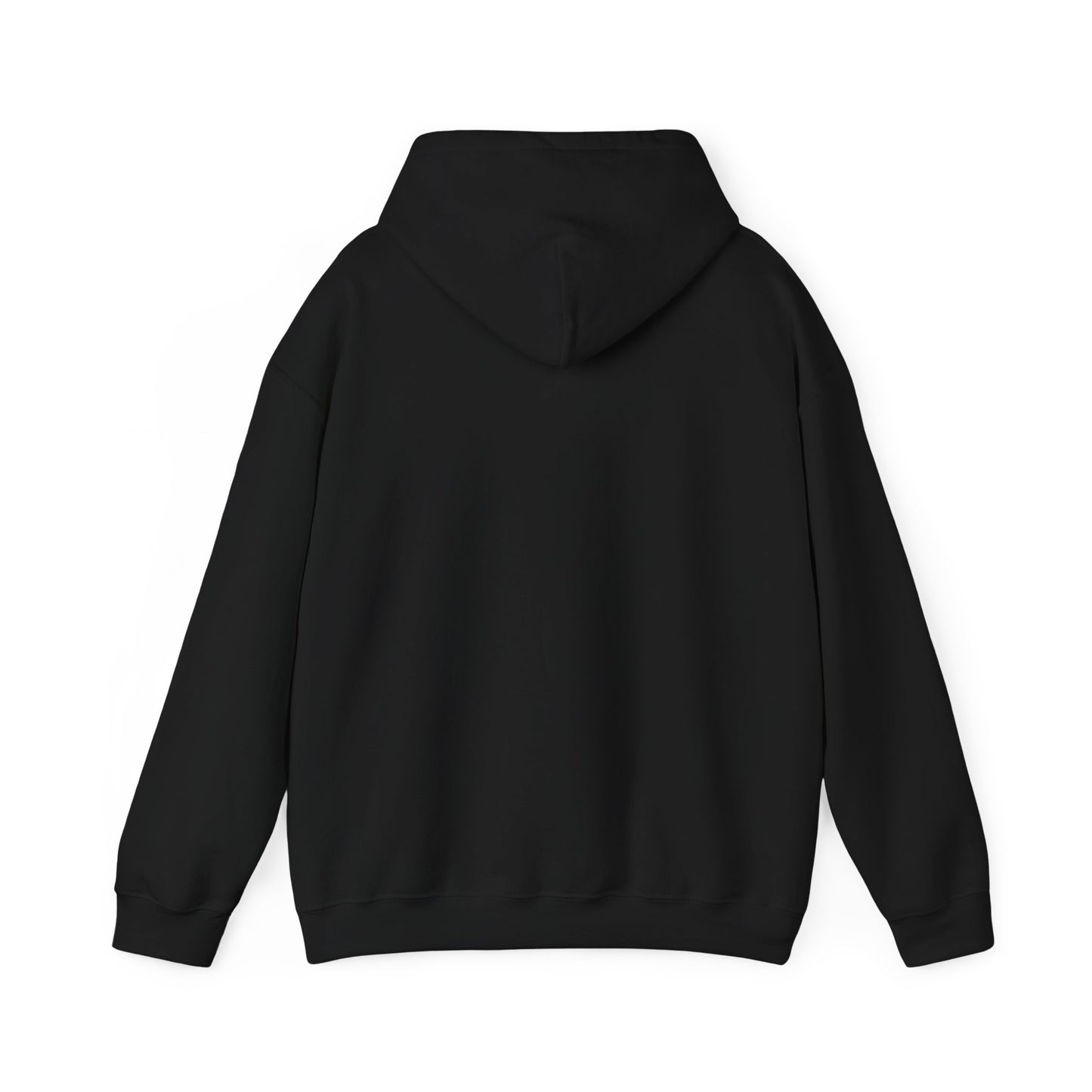 Aventine University Hoodie -- Logo Center