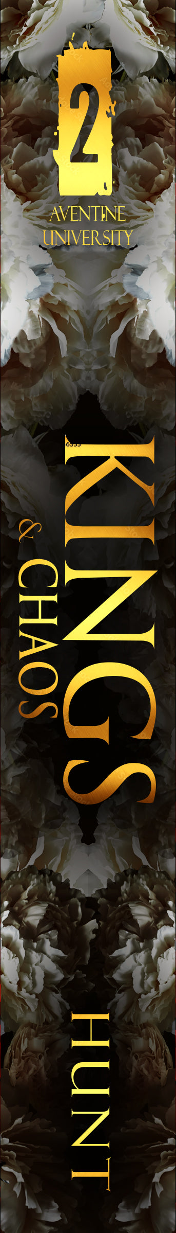 DISCREET Kings & Chaos: A Dark College Bully Romance - SIGNED DISCREET PAPERBACK (Books 2)