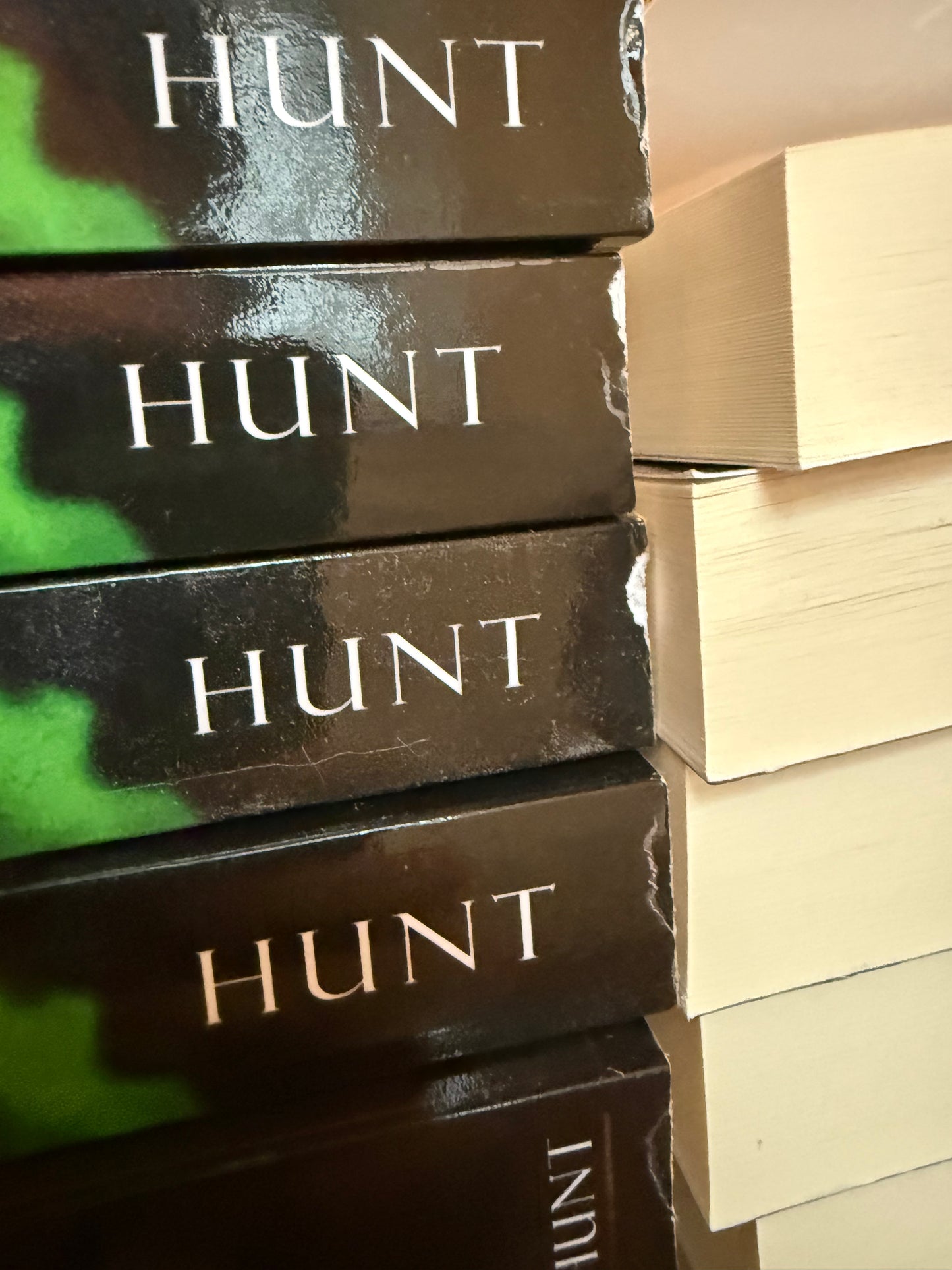 DAMAGED + MIS-SIGNED VARIANTS - Into the Fire: A Dark New Adult Romance (Blackwell Bastards Book 1) - SIGNED MODEL PAPERBACK