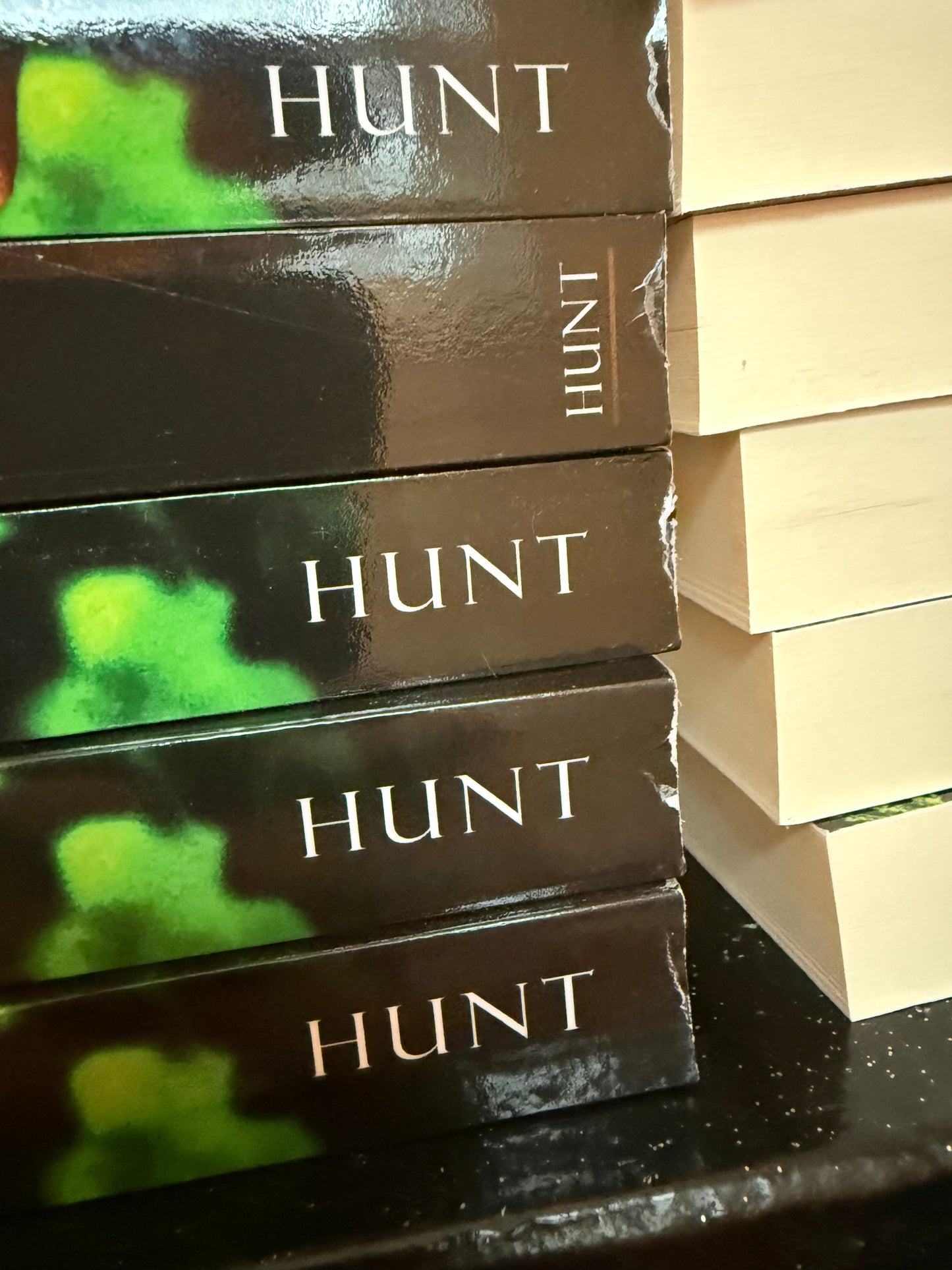 DAMAGED + MIS-SIGNED VARIANTS - Into the Fire: A Dark New Adult Romance (Blackwell Bastards Book 1) - SIGNED MODEL PAPERBACK